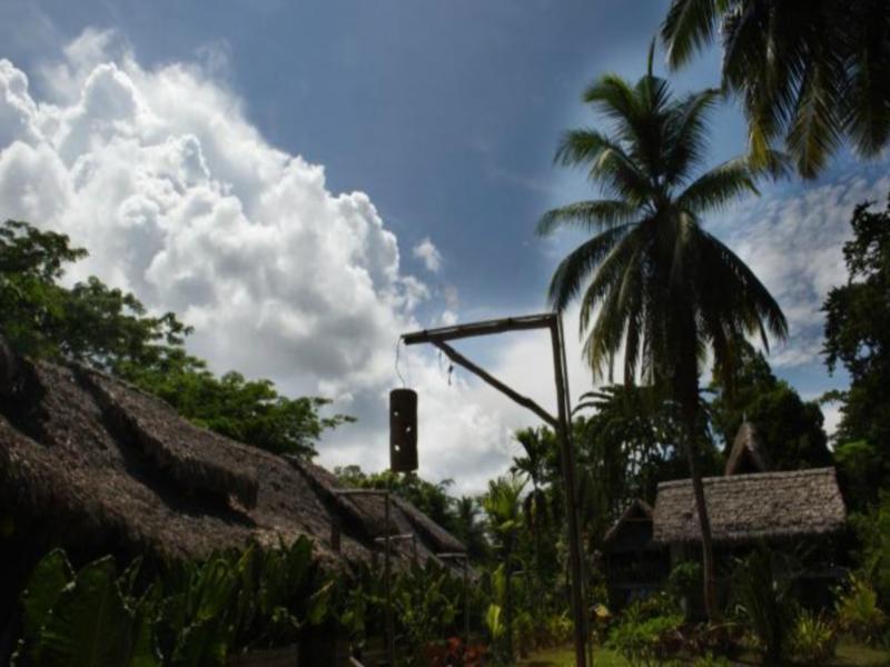 Wild Orchid Resort - Havelock Island Vijay Nagar Beach Luaran gambar
