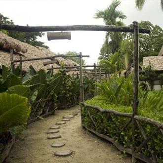 Wild Orchid Resort - Havelock Island Vijay Nagar Beach Luaran gambar